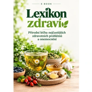 LEXIKON ZDRAVÍ - eBook